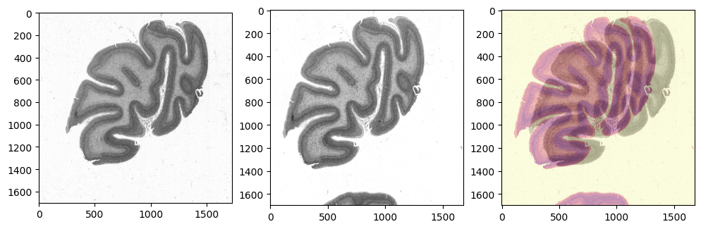 3D Reconstruction from 2D Brain Scan Slices